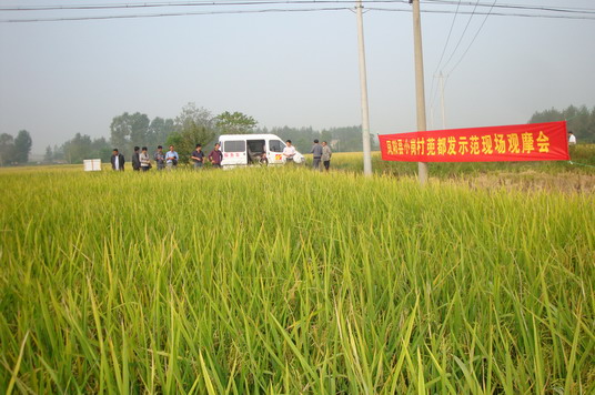 ºÃ²©(Öйú)ÌåÓýÖÇÄܿƼ¼¹É·ÝÓÐÏÞ¹«Ë¾ÍøÕ¾