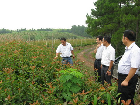 好博(中国)体育智能科技股份有限公司网站