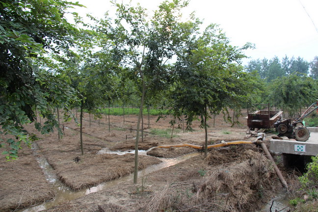 ºÃ²©(Öйú)ÌåÓýÖÇÄܿƼ¼¹É·ÝÓÐÏÞ¹«Ë¾ÍøÕ¾