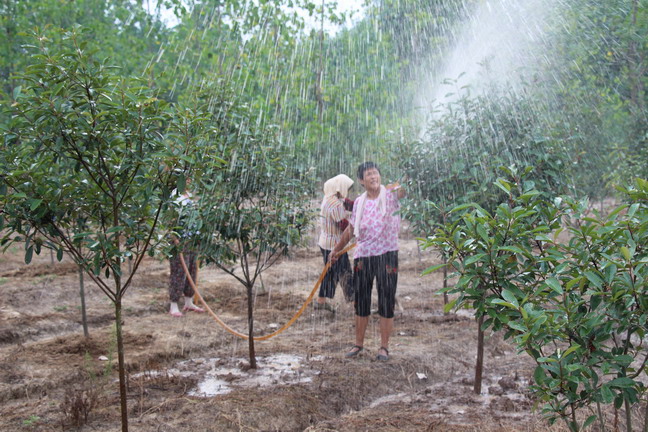 ºÃ²©(Öйú)ÌåÓýÖÇÄܿƼ¼¹É·ÝÓÐÏÞ¹«Ë¾ÍøÕ¾