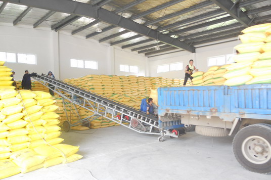 ºÃ²©(Öйú)ÌåÓýÖÇÄܿƼ¼¹É·ÝÓÐÏÞ¹«Ë¾ÍøÕ¾