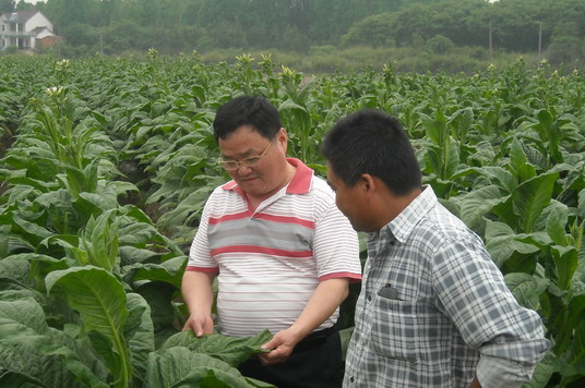 ºÃ²©(Öйú)ÌåÓýÖÇÄܿƼ¼¹É·ÝÓÐÏÞ¹«Ë¾ÍøÕ¾